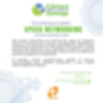 Speed networking formato de rueda de negocio