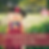 St. Anne's Circle: Scarecrows in the Garden