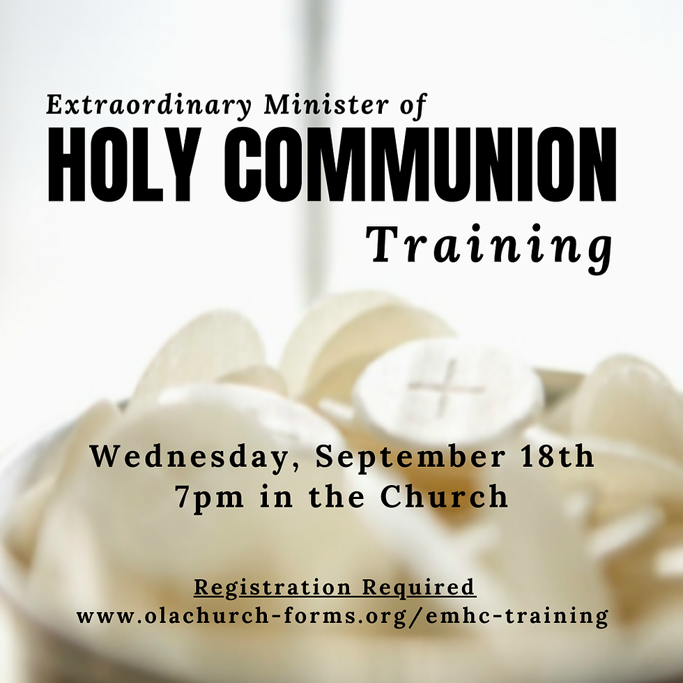 Extraordinary Ministery of Holy Communion Training