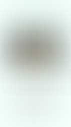 OLA Run to Church 5K and Fun Run SAVE THE DATE - Saturday, August 29, 2026