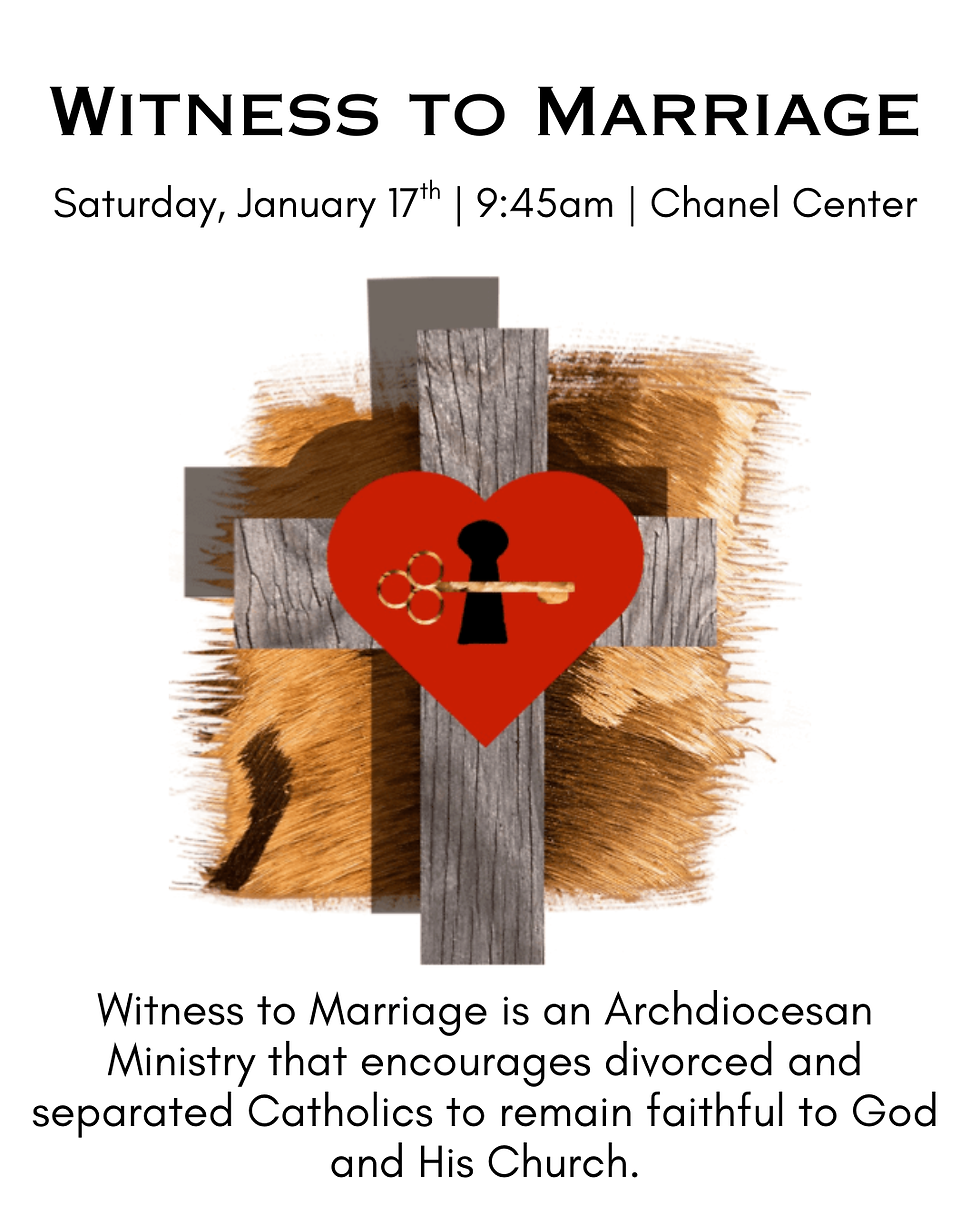 Witness to Marriage: Support for Separated & Divorced Catholics