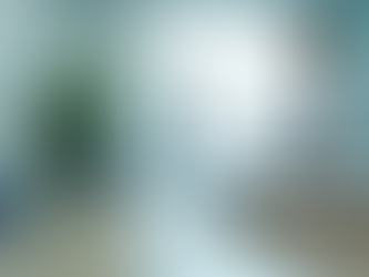 Boost Your Dental Practice with Local SEO