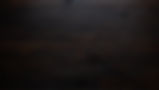 dark-wood-1.jpeg