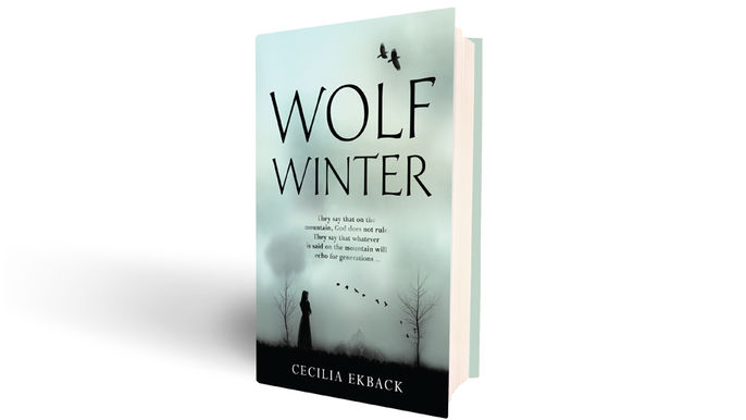 Debut novel out in early 2015