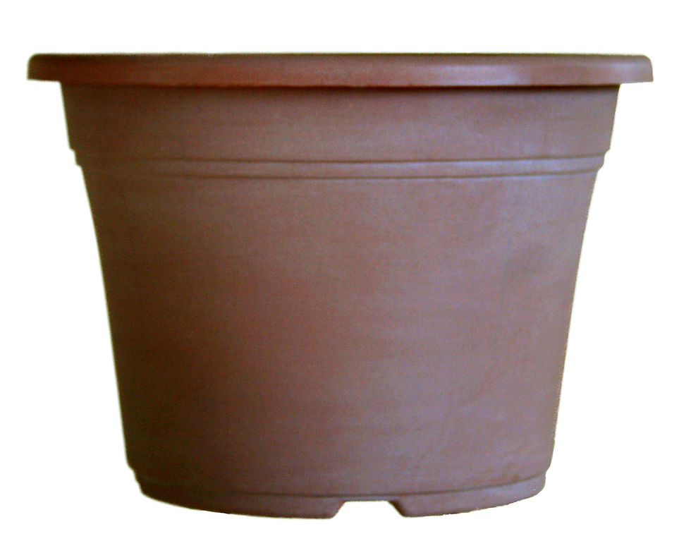 11" Diane 2-Gal