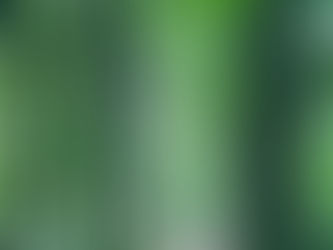 A STORY OF CHANGING SEASONS