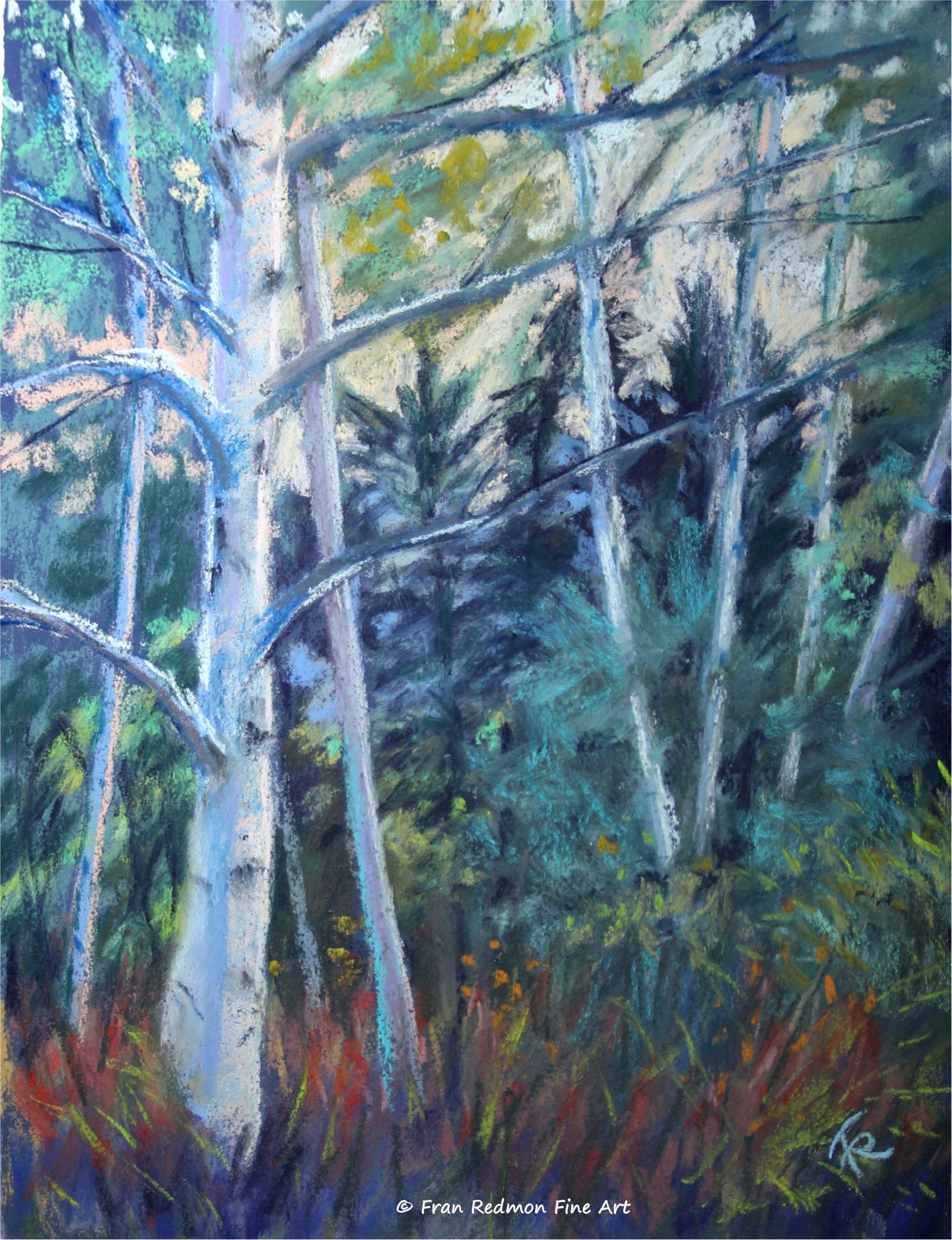 Birch Grove