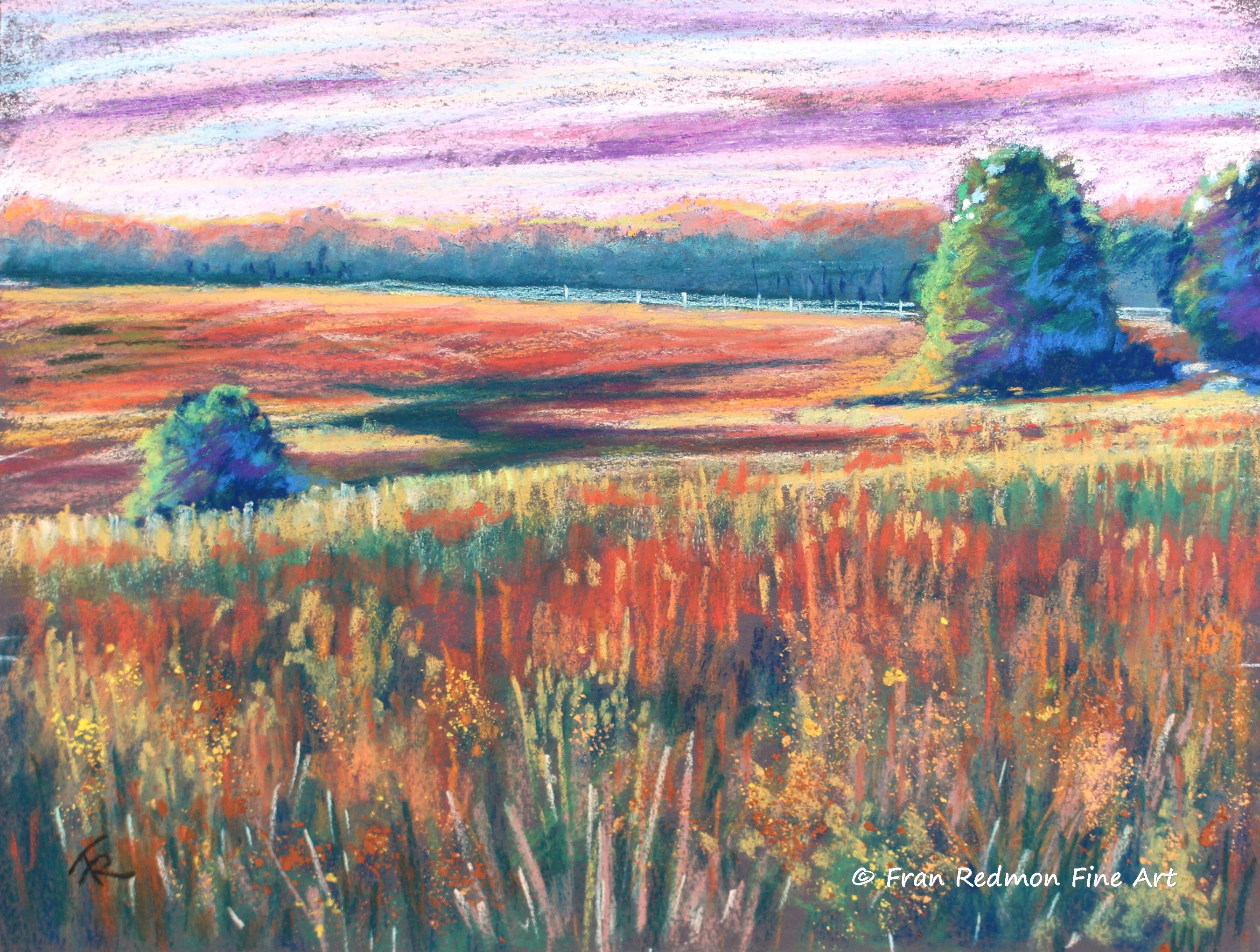 May's Field