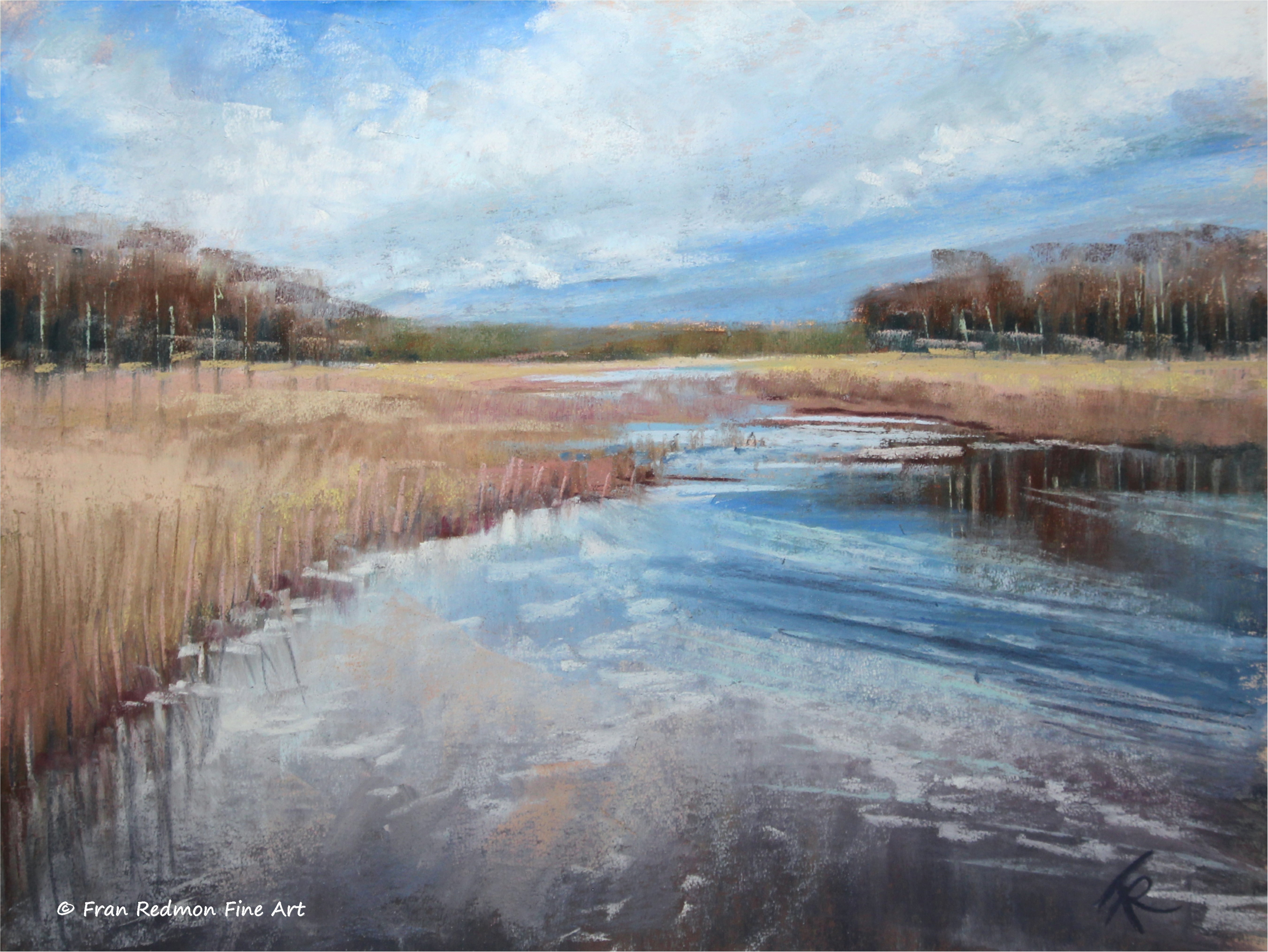 Marsh Reflections
