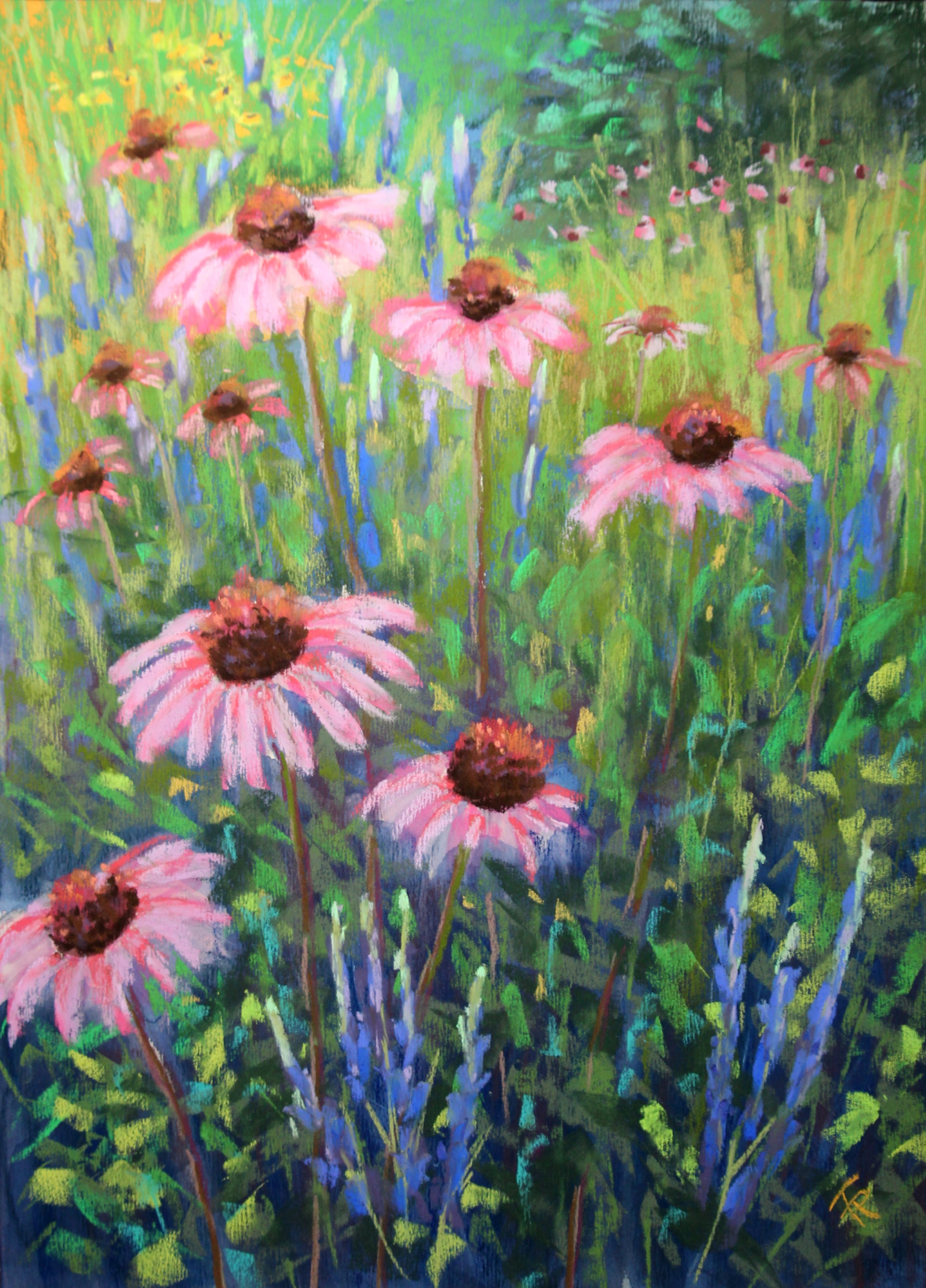 Coneflowers