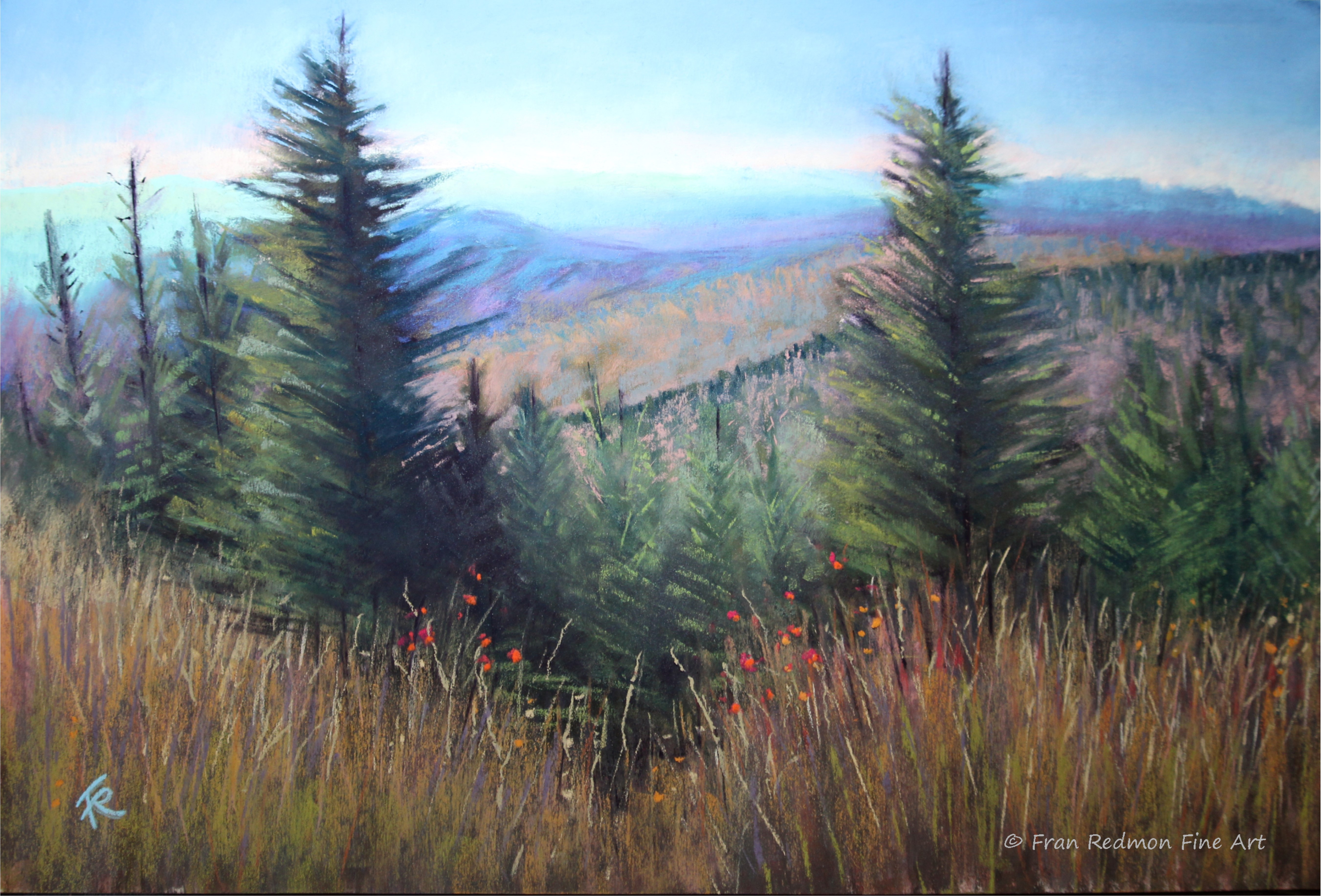 View from Clingman's Dome