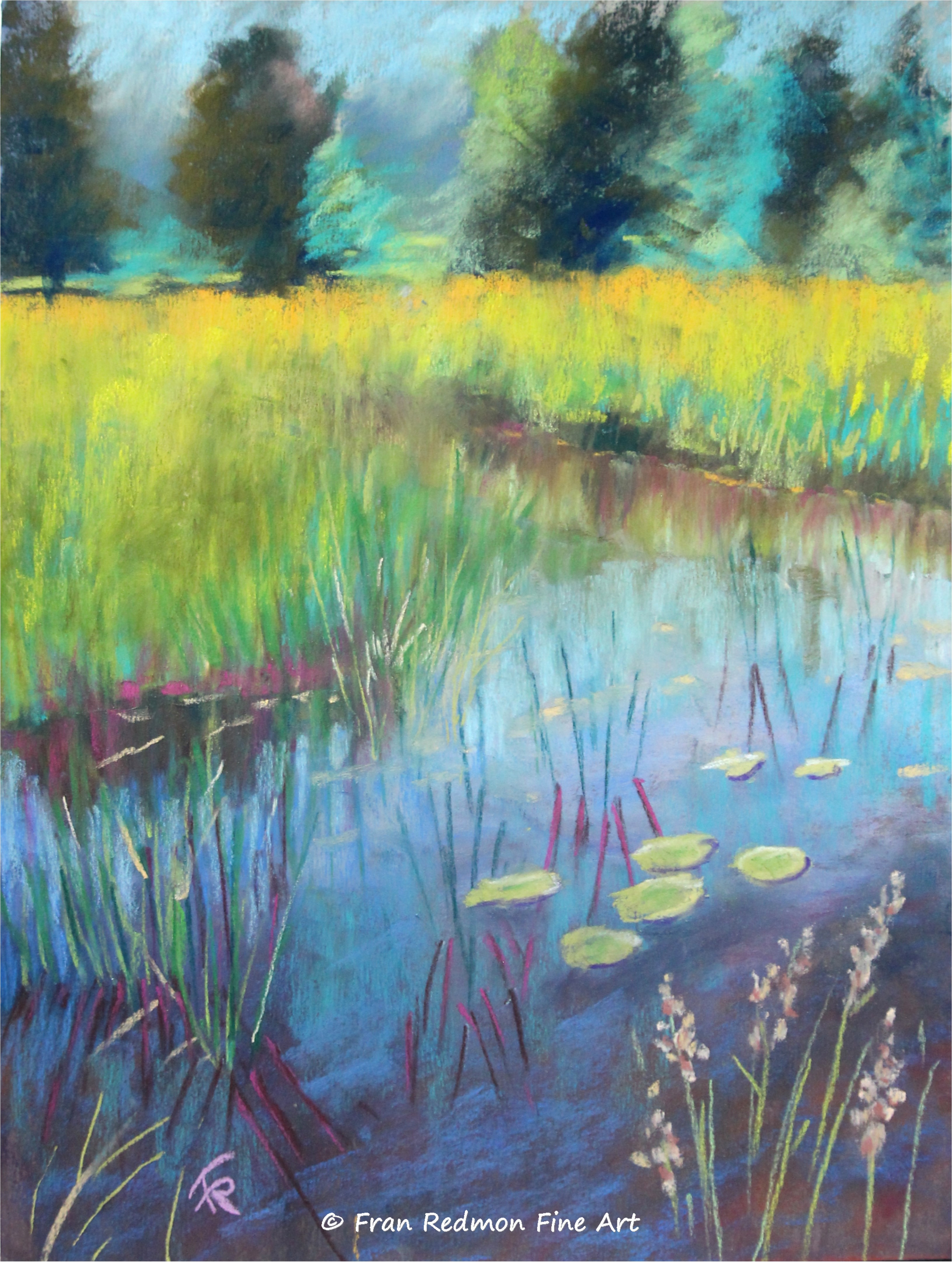 Marla's Marsh