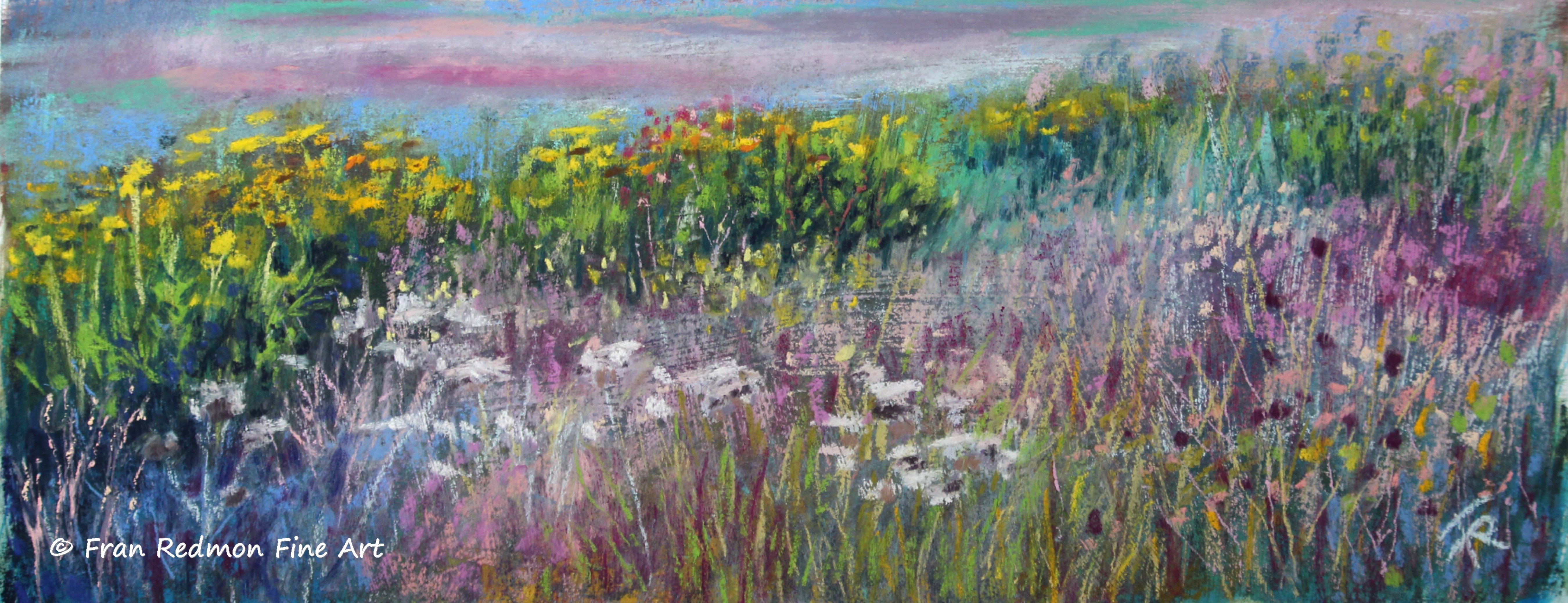 Wildflower Field
