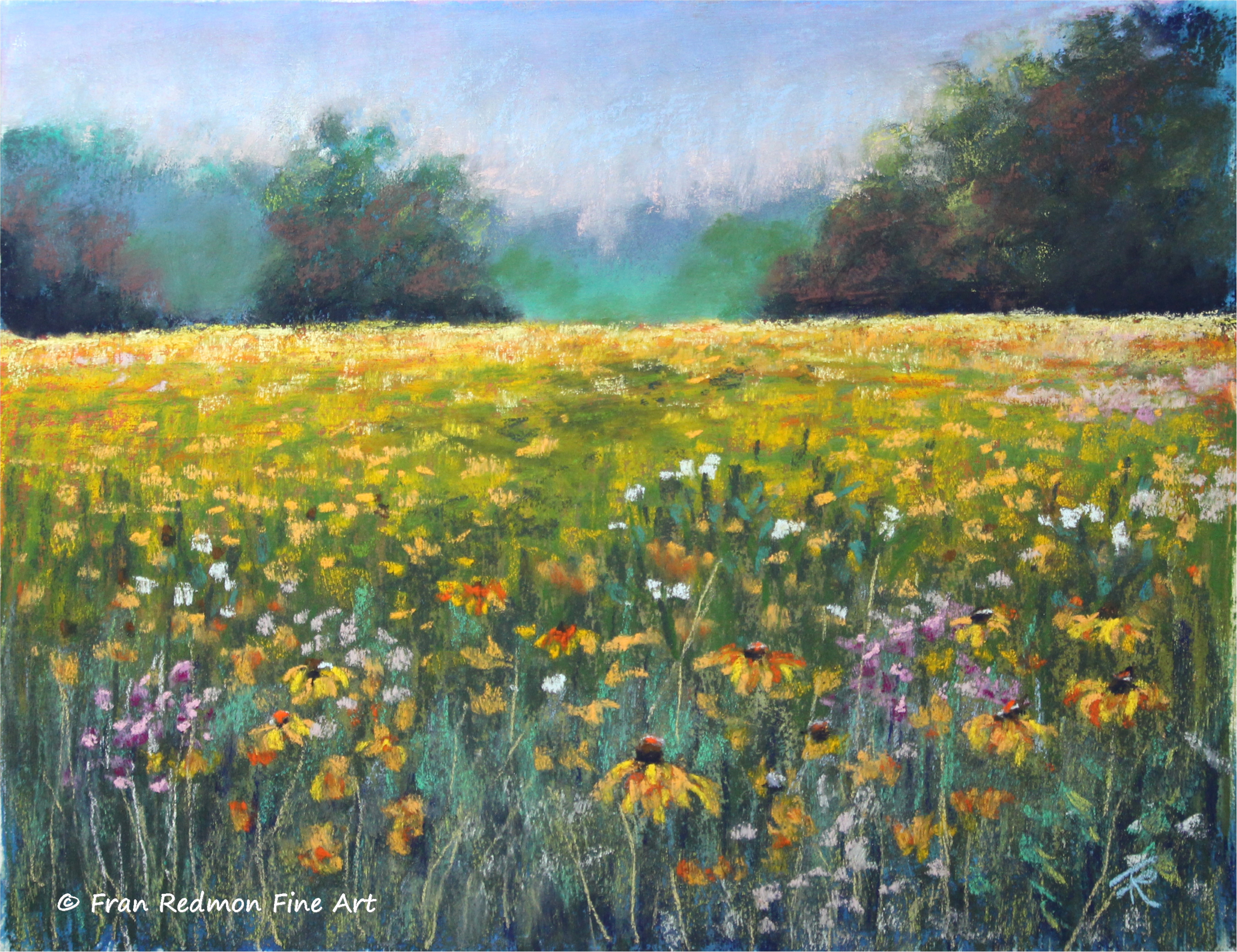 Wildflowers at Sea Pines