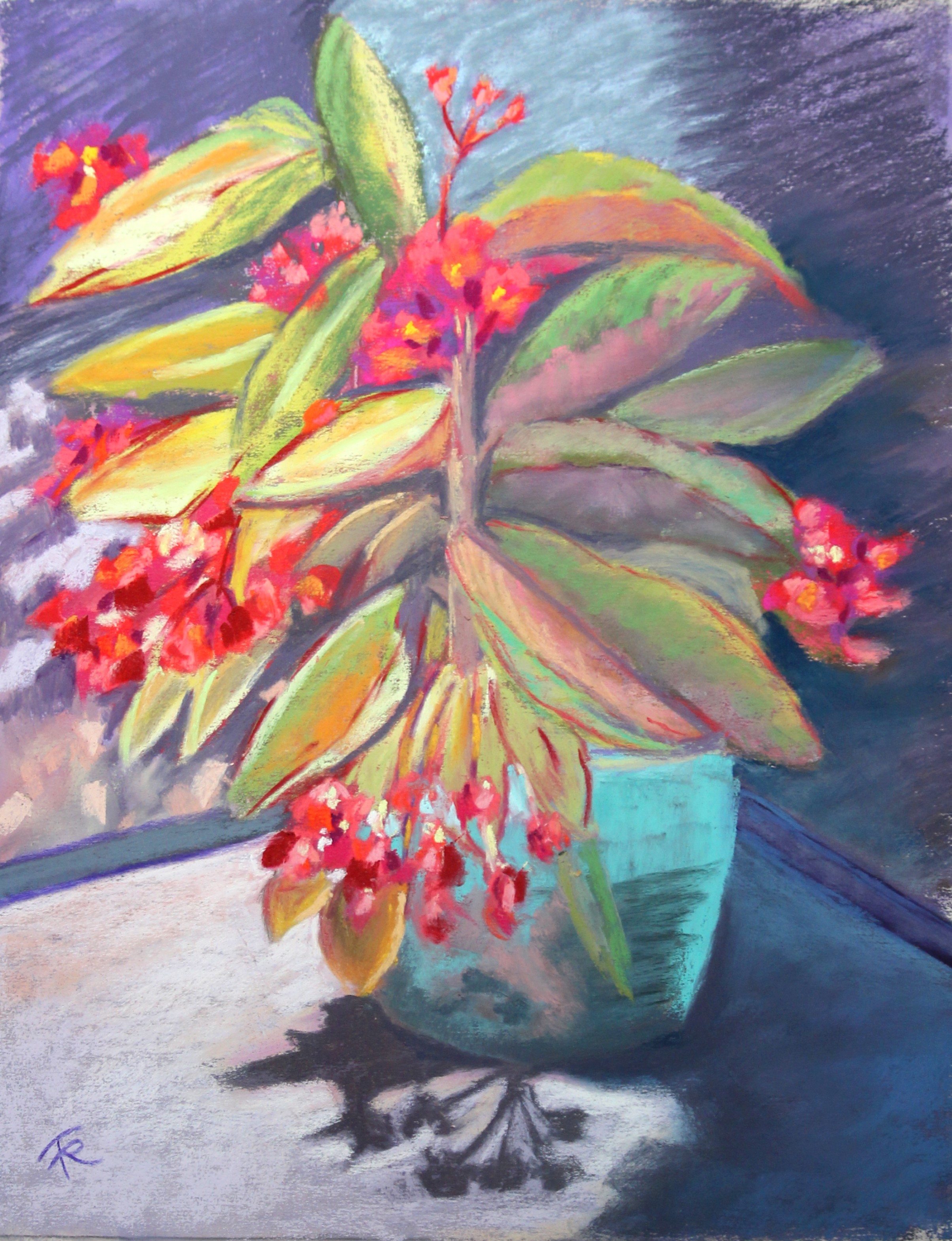 Shadowed Patio