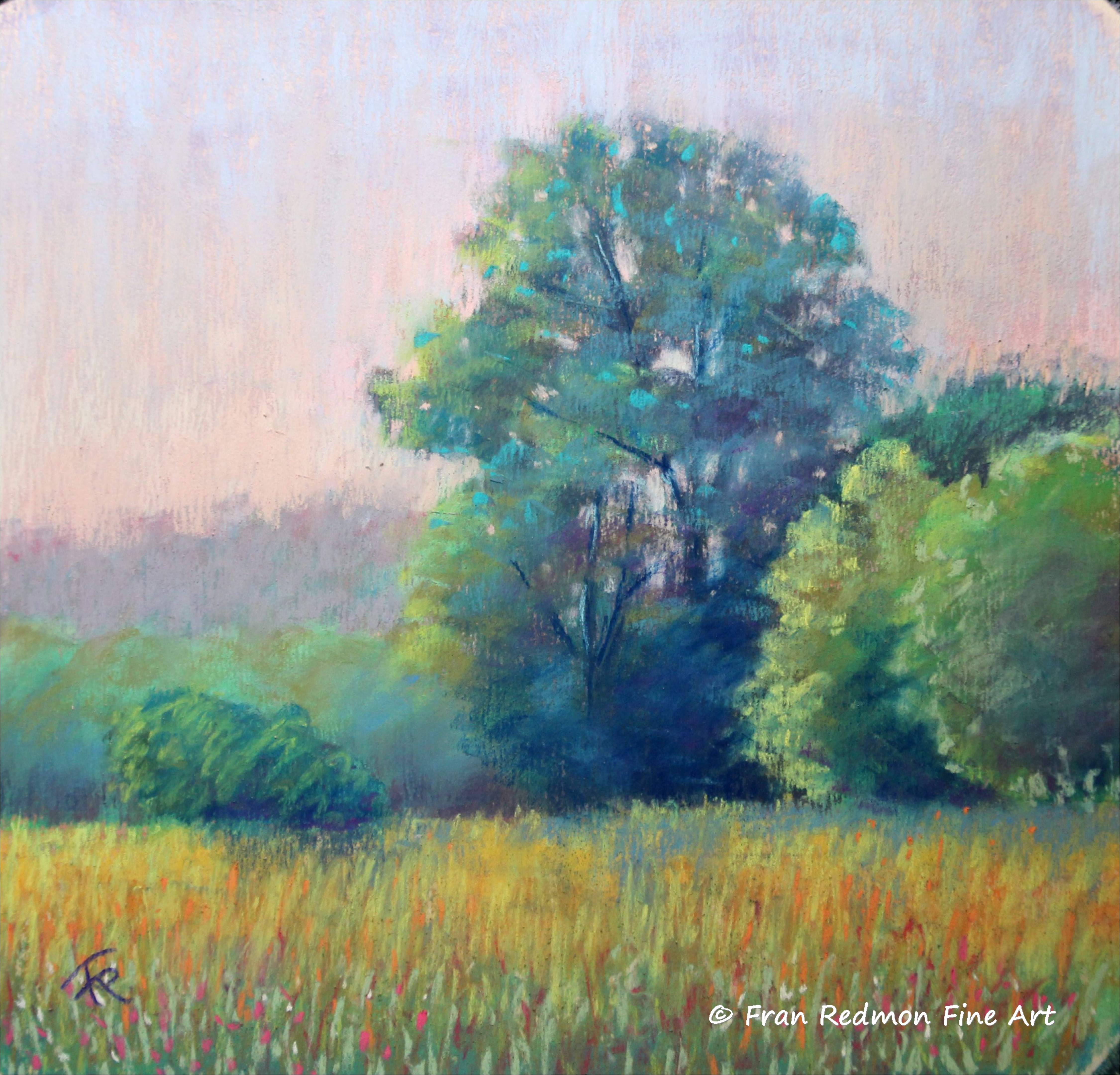 Morning Meadow