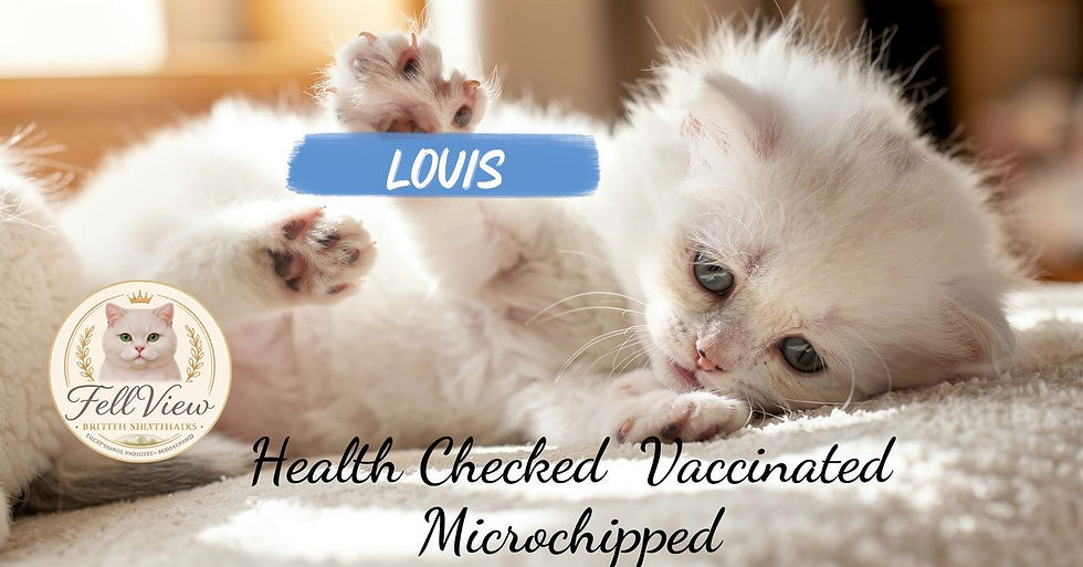 Thumbnail: Louis