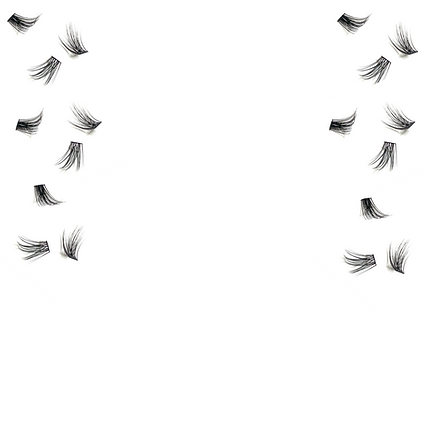 Lash segments_edited_edited.png