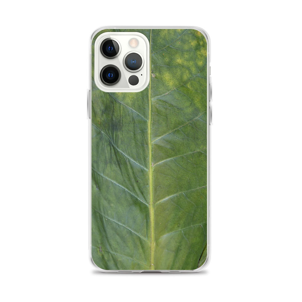 Thumbnail: Tobacco Leaf iPhone Case