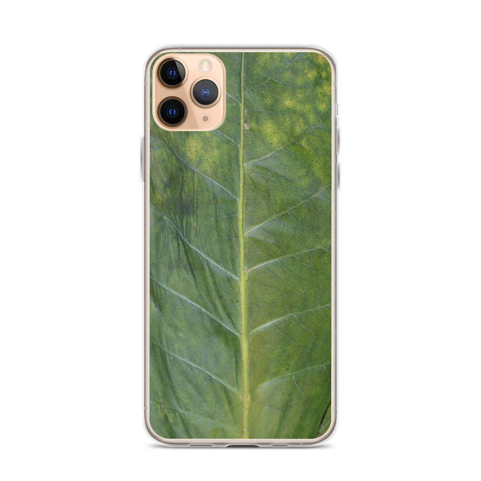 Thumbnail: Tobacco Leaf iPhone Case
