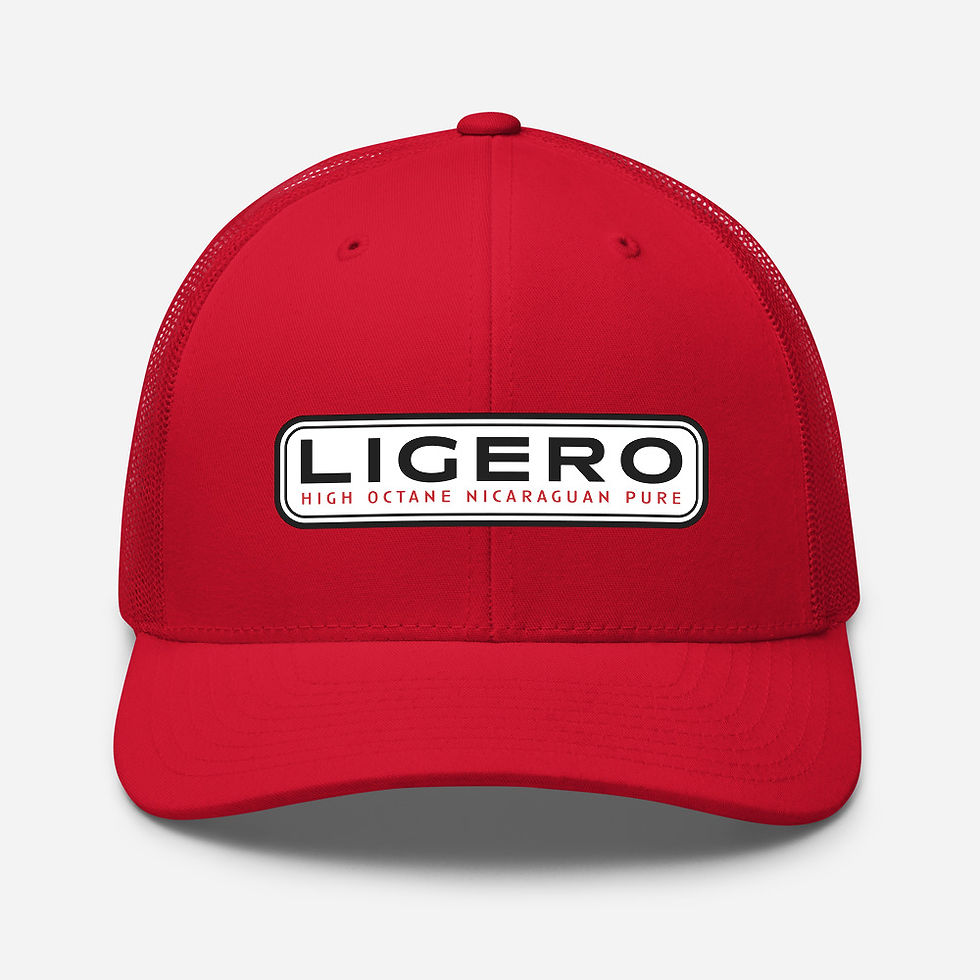 Thumbnail: Ligero Trucker Cap