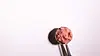 image (5).webp