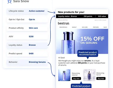 02-Customer-Data-Enrich-data-with-AI-predictions-and-insights-.png.webp