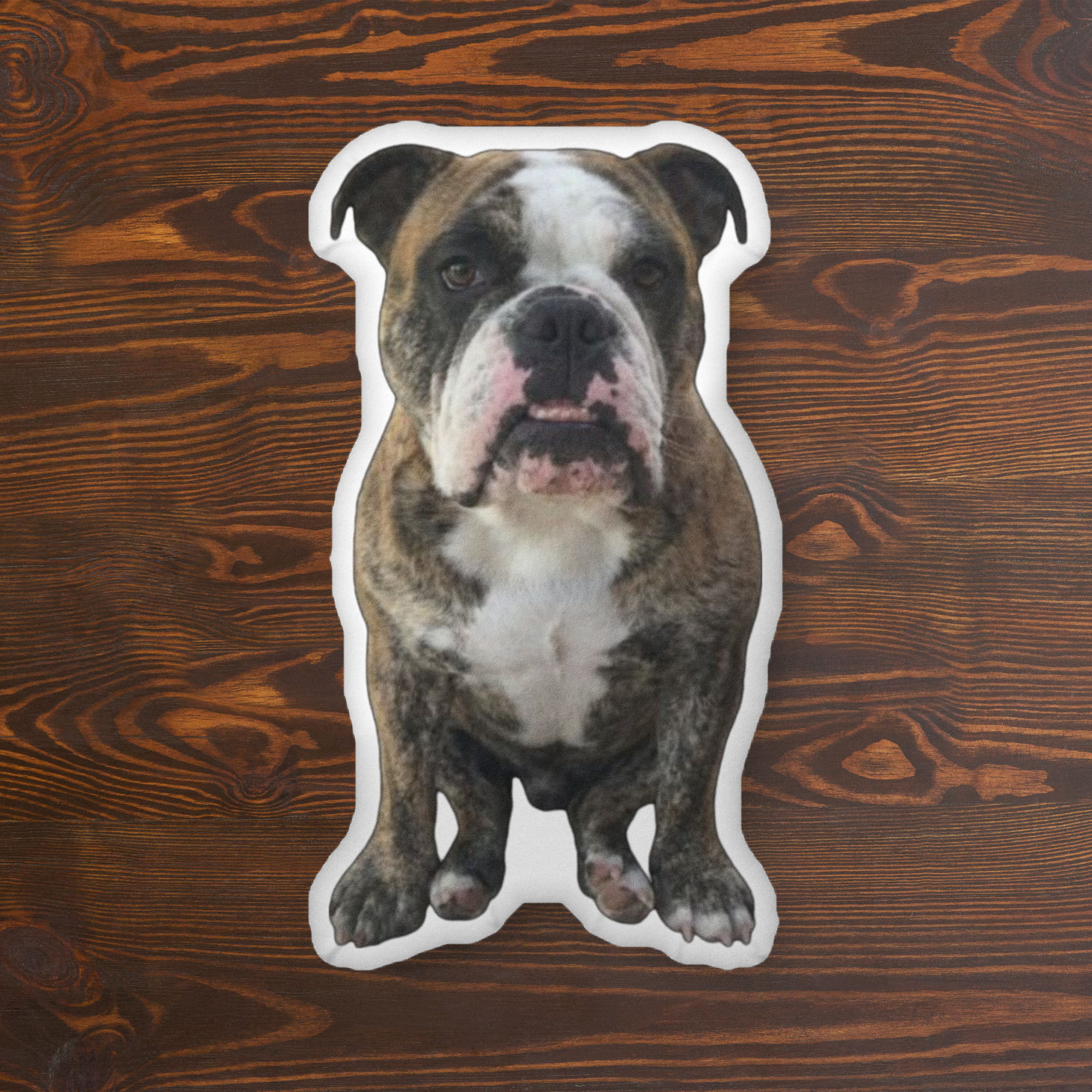 Custom-shaped pillow