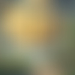 【占星入門 05】為什麼你總是存不到錢？金星星座是甚麼？揭開你的吸金體質與愛情審美 (內附 12 星座招財秘笈)