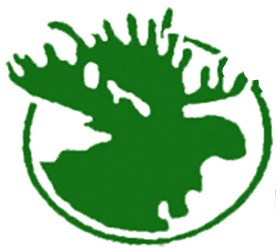 Moose Crossing