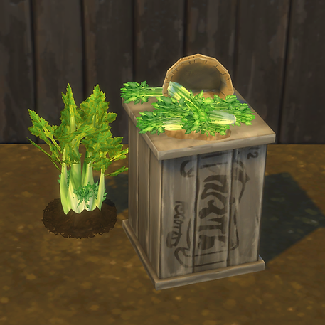 Celery
