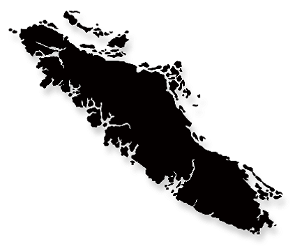 Vanisla_edited.png