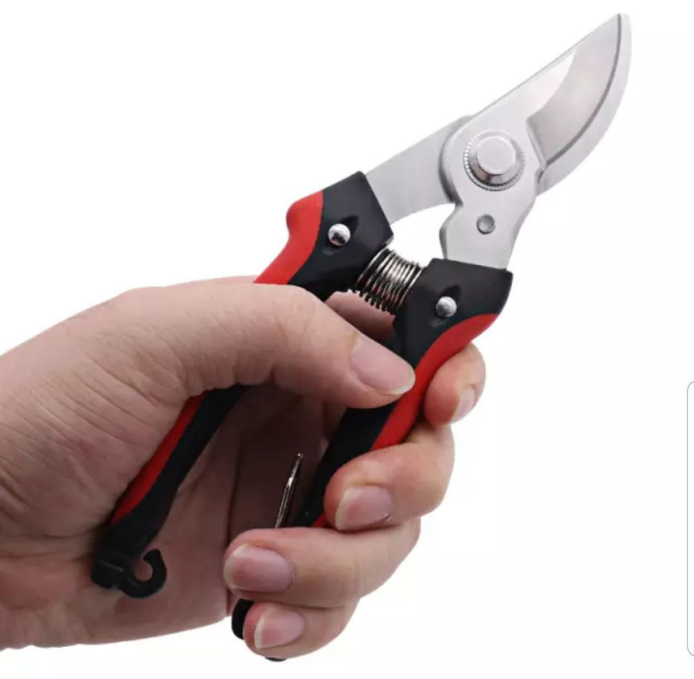 Thumbnail: Black and Red Pruning Shears