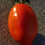 Thumbnail: Amish Paste Heirloom Tomato Seeds