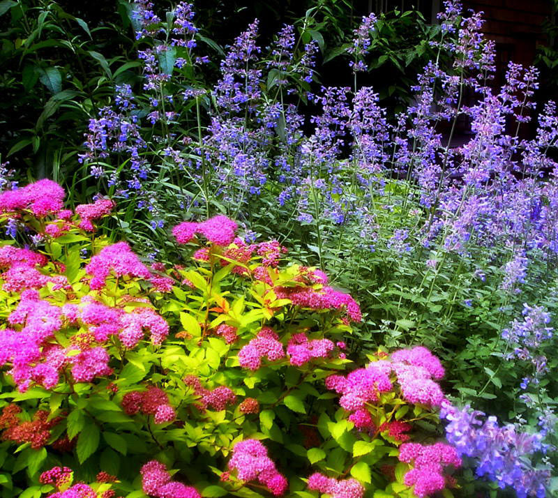sweetbay landscape design NY