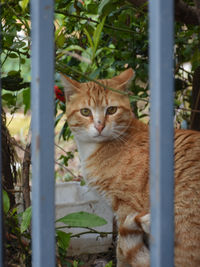 DSC_4328.JPG