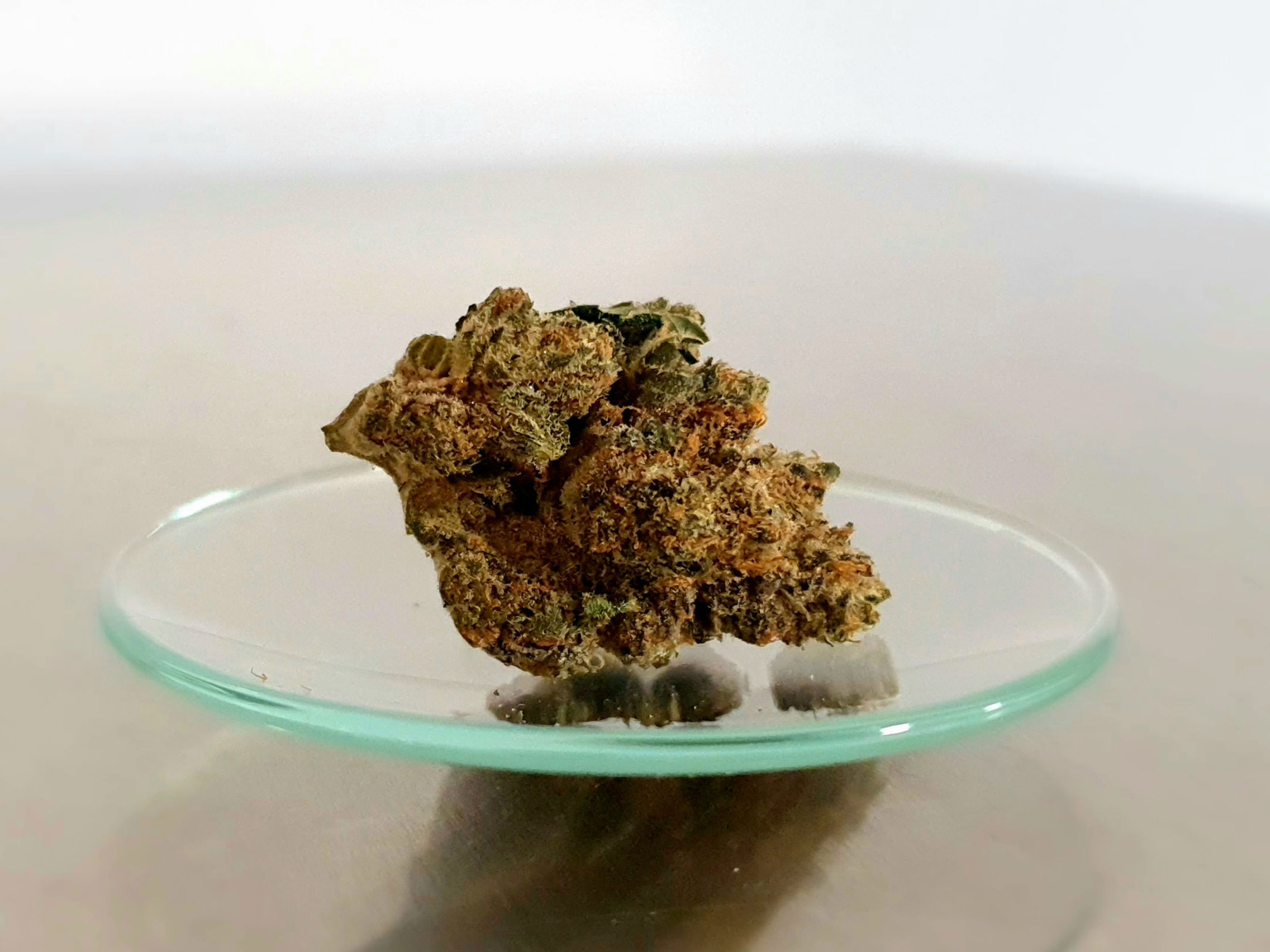 Pedanios 27/1 FRG-CA