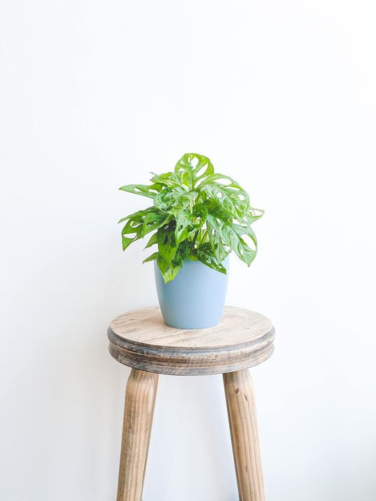 Thumbnail: elho Brussels Pot - Vintage Blue