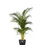 Thumbnail: elho Brussels Pot - Living Black