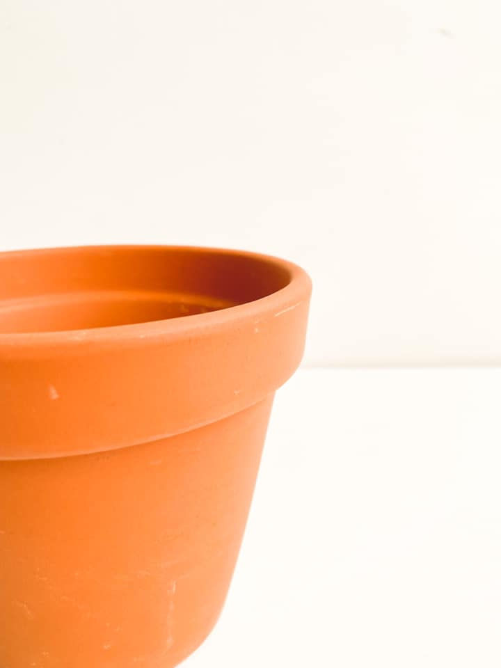 Thumbnail: Classic Terracotta Pot