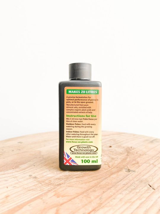 Thumbnail: Palm Focus Feed