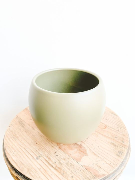 Thumbnail: Monet Ceramic Pot - Matte Moss Green
