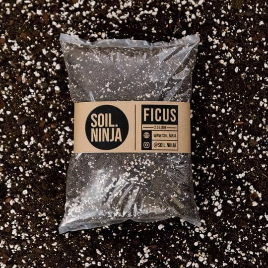 Thumbnail: Soil Ninja Premium Ficus Blend