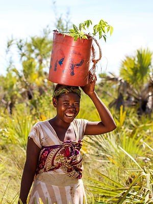 Mad_worker profile 2 with watermark (1).