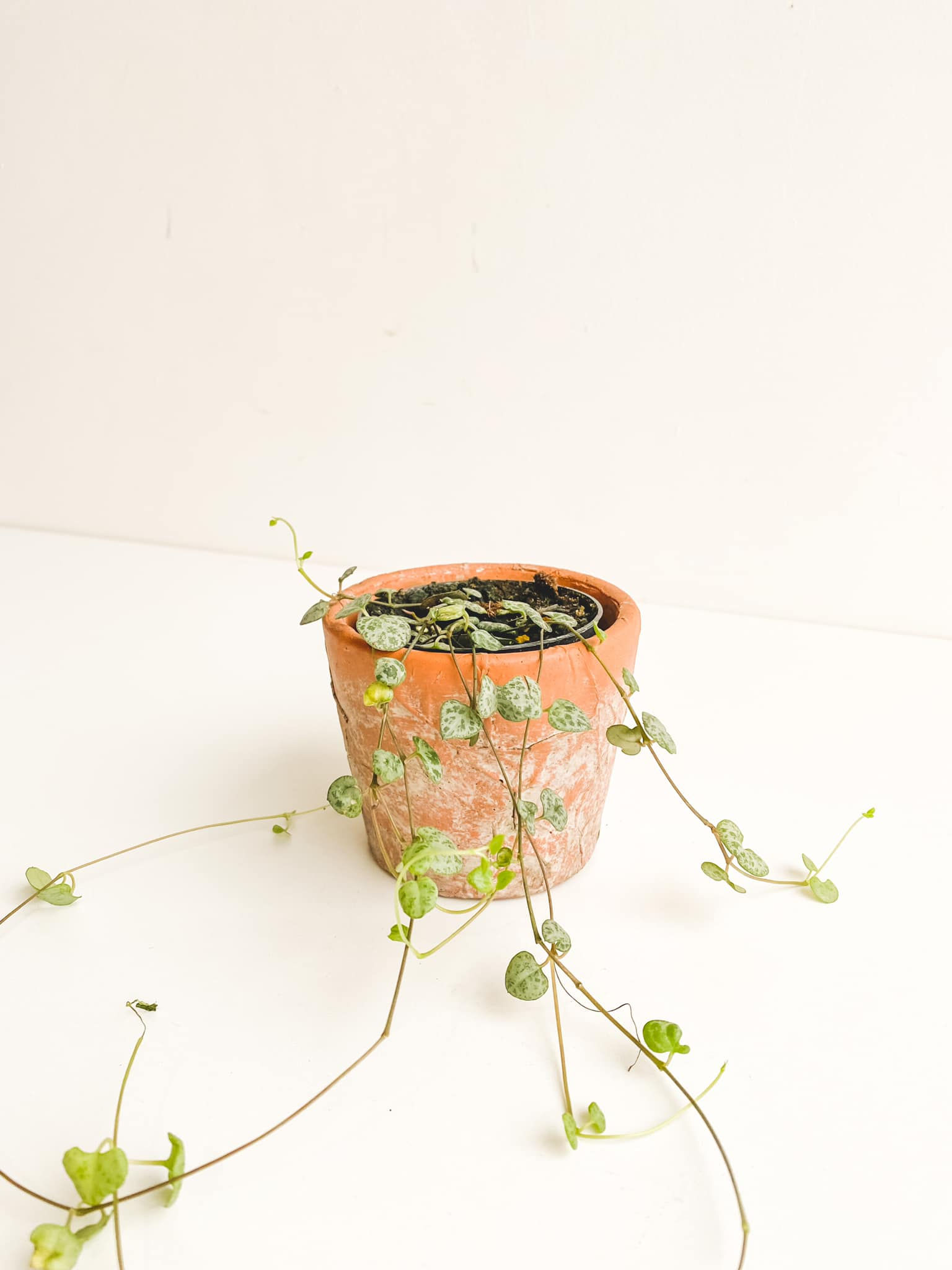 Perfectly Imperfect, String of Hearts