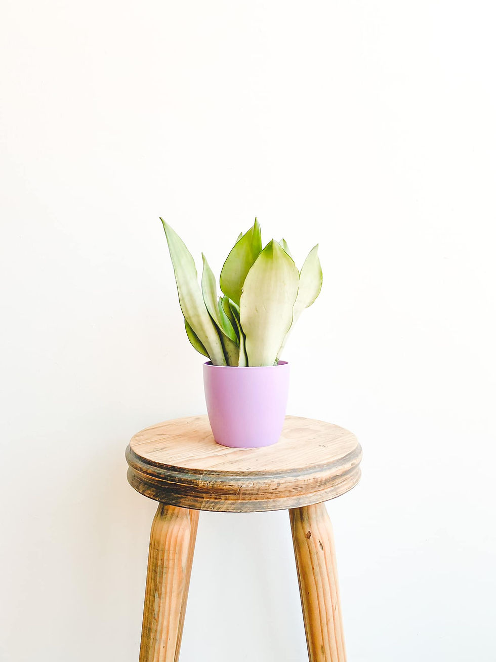 Thumbnail: elho Brussels Mini Pot - Violet