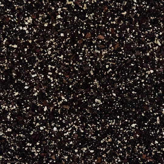 Thumbnail: Soil Ninja Premium Alocasia Blend