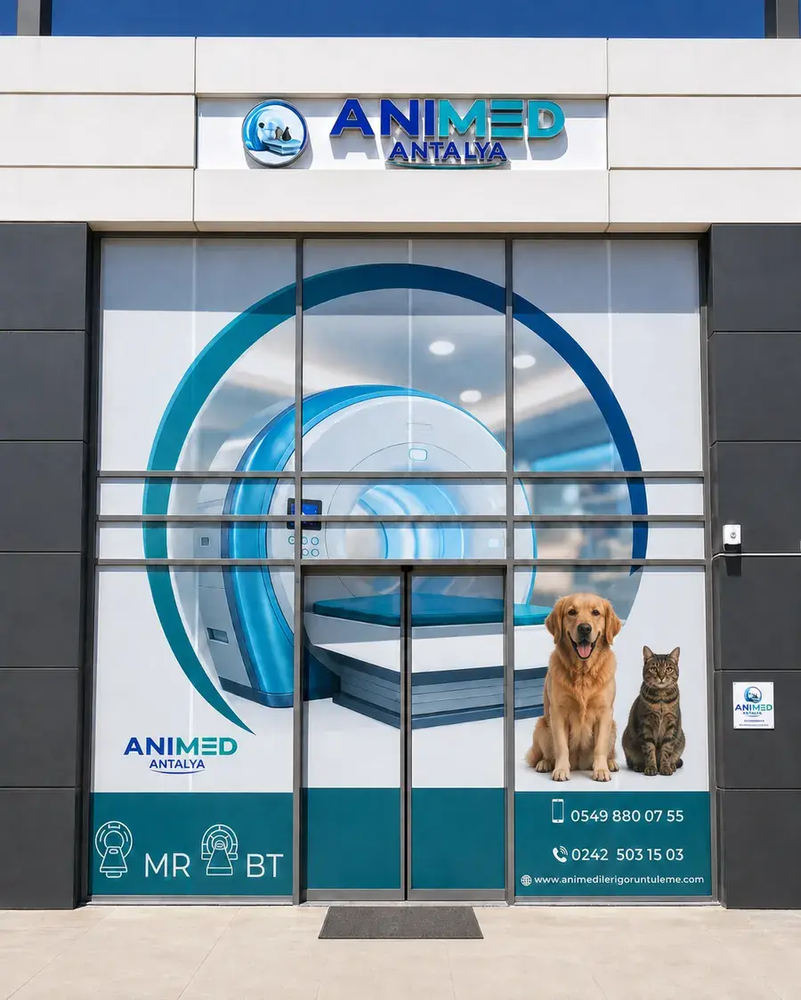 animed_hakkimizda_web_optimize.webp
