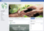 Pagina Facebook interativa