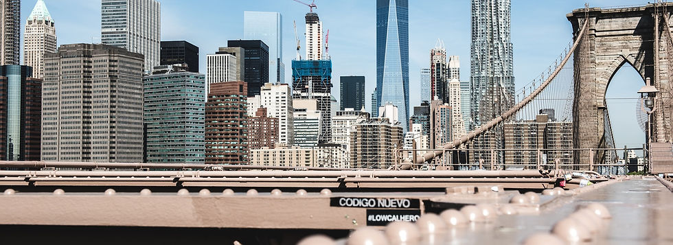 New York page banner image.jpeg